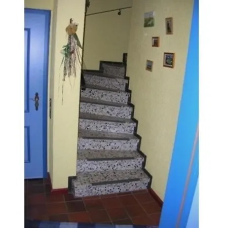 Nordfraschlonj Friesenhausteil - A47003 Apartment Almdorf